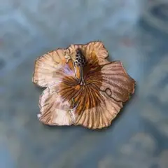 ハイビスカス ブローチ ブラウン ゴールド