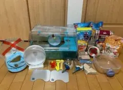 Item thumbnail for item d5164a19-deb8-4462-a226-0791cc6ad990