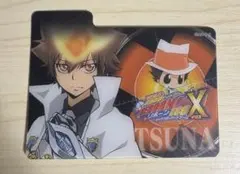 家庭教師ヒットマンREBORN 非売品 カード 仕切り セパレーター 沢田綱吉
