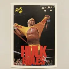 WWFプロレス ハルク・ホーガン トレーディングカード No.129