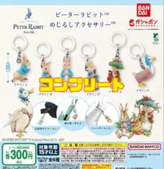 ピーターラビット めじるしアクセサリー 全6種　コンプリート　コンプ