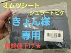 Item thumbnail for item f06f2f1f-c96e-4d4a-b461-9d6554197ae6