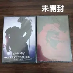 矢島舞依 DVD 2枚セット