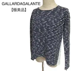 【極美品】GALLARDAGALANTE 青ラメボーダートップス 後ろレース