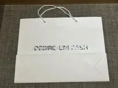 DESIRE:UNLEASH 韓国popup 限定ショッパー