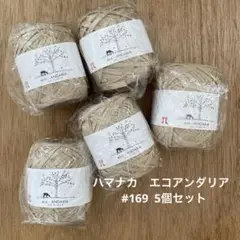 ハマナカ　エコアンダリア #169 5個セット