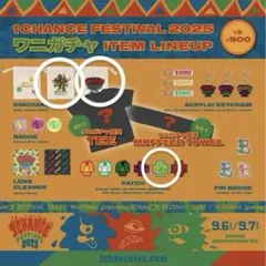 WANIMA ワニガチャ ワンチャンフェス