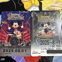 ディズニー　リゾートライン　フリーきっぷ　２枚　コレクション用