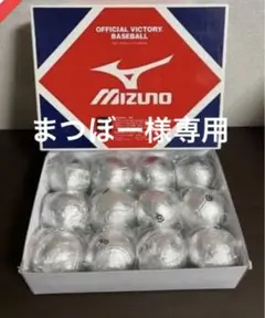 硬式ボール(12球)