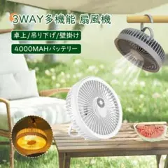 Item thumbnail for item fd754581-52ba-43eb-9882-f7aa2c642a6c