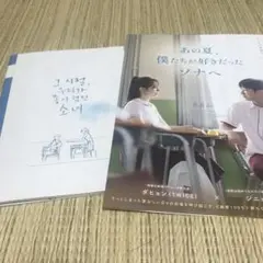 Sale! 韓国映画　あの夏、僕たちが好きだったソナへ パンフレット