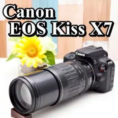 Item thumbnail for item 32223454-5e94-4cf5-815e-e7954ee57ec7
