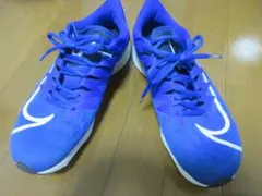 Nike ライバルフライ 27.5cm