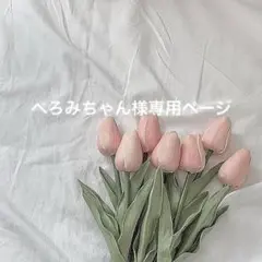 ぺろみちゃん様オーダー受付