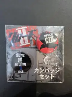 クローズII 缶バッチ【未開封】