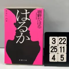 はるか 3-22*25.4*5