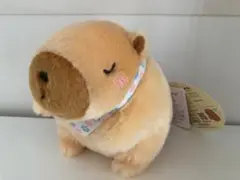 しあわせカピバラちゃん　ずんちゃん