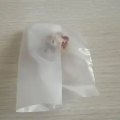 タイニーチャム　ガチャ　どーりーみっくすフィギュア