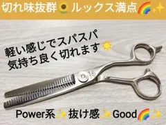 切れ味抜群セニングシザー美容師プロ用ハサミ✨トリマーOKトリミングシザー✨理容師