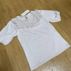 フェルゥTシャツ