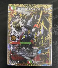 王闘竜皇　ボルシャック・ドラゴン　シークレット