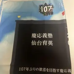 2025 甲子園オリジナル冷感クールタオル