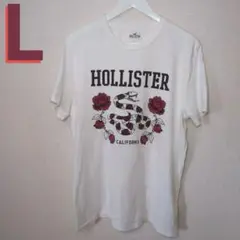 ホリスター Tシャツ Lサイズ