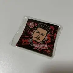 浦和レッズ ダニーロボザ ステッカー