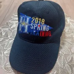 日ハム ファイターズ 2018 SPRING TRAINING キャップ