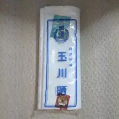 玉川晒　リメイク材料☆プロフィール必読☆