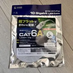 サンワサプライ CAT6A フラット LANケーブル 5m ホワイト 白