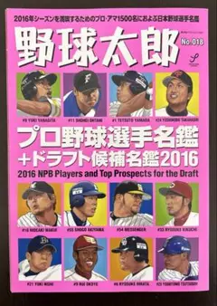 野球太郎 No.018 (プロ野球選手名鑑+ドラフト候補名鑑2016)