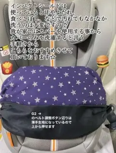 サイベックス パラス Gi-Size + G2 インパクトシールド用カバー