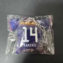 舩木翔 セレッソ大阪