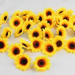 Item thumbnail for item b18e6924-59a6-4cd6-b8a5-63ed87070631
