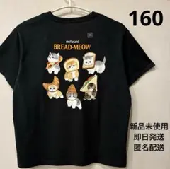 ▪️新品・未使用▪️ 160cm モフサンド　Tシャツ UNIQLO ユニクロ