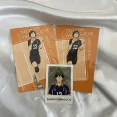 ハイキュー　ハイキュープラザ　特典ポストカード　山口忠