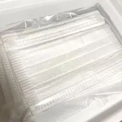 こども用 不織布マスク 白 10枚
