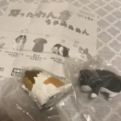 怒ったわんちゃん　ガチャガチャ