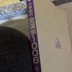 小学生の漢字1006完全攻略