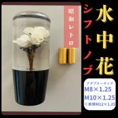 2025年最新】水中花 スイッチの人気アイテム - メルカリ