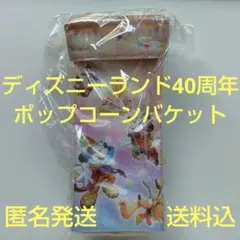 ディズニーランド ポップコーンケース 40周年　ポップコーンバケット