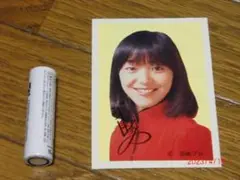 レア 岩崎宏美 マルベル堂 プロマイド 写真 昭和 当時 アイドル タレント Amazon.co.jp: 岩崎宏美 マルベル堂 プロマイド 写真レトロ 当時