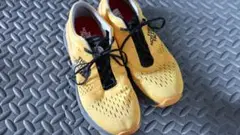Pinnacle Runner Progressive