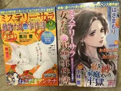 レディースコミック　最新刊　2冊セット