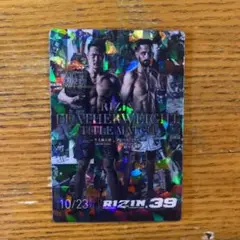 Item thumbnail for item 0800a73f-aadd-4269-bfee-e3b943940075