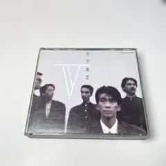 安全地帯 V 2枚組