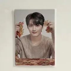 SEVENTEEN Ode to You トレカ ジュン