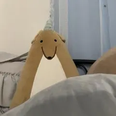 専用出品