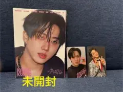 Straykids スキズ KARMA HMV トレカ CD未開封 チャンビン